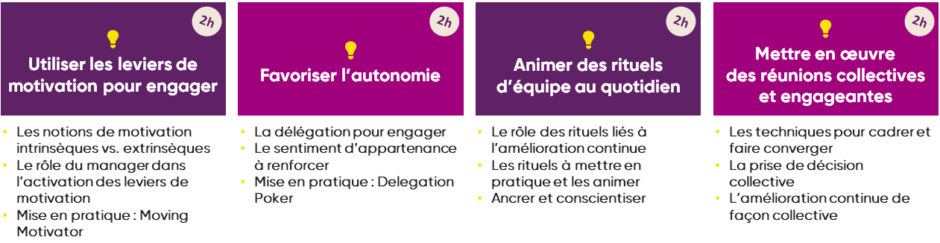 Formation à distance outils management 3.0