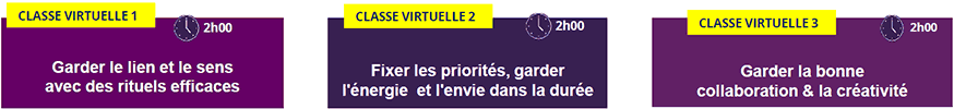 Programme de formation au management à distance