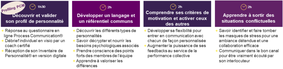 Formation à distance Process Communication