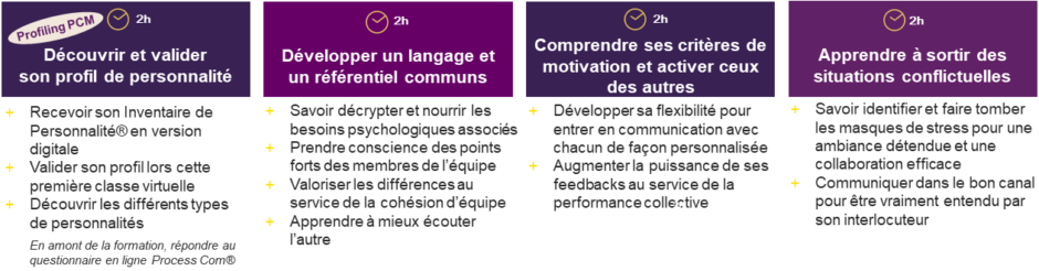 Formation à distance Process Communication