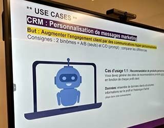 visuel-picard-surgeles-experience-ia-slide-320x250